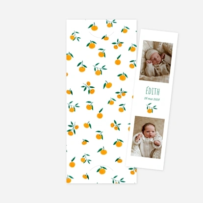 Agrumes crayonnées II