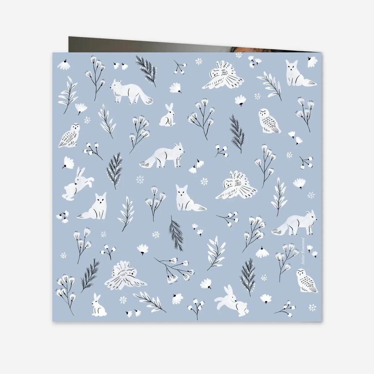 Faire-part naissance Clairiére