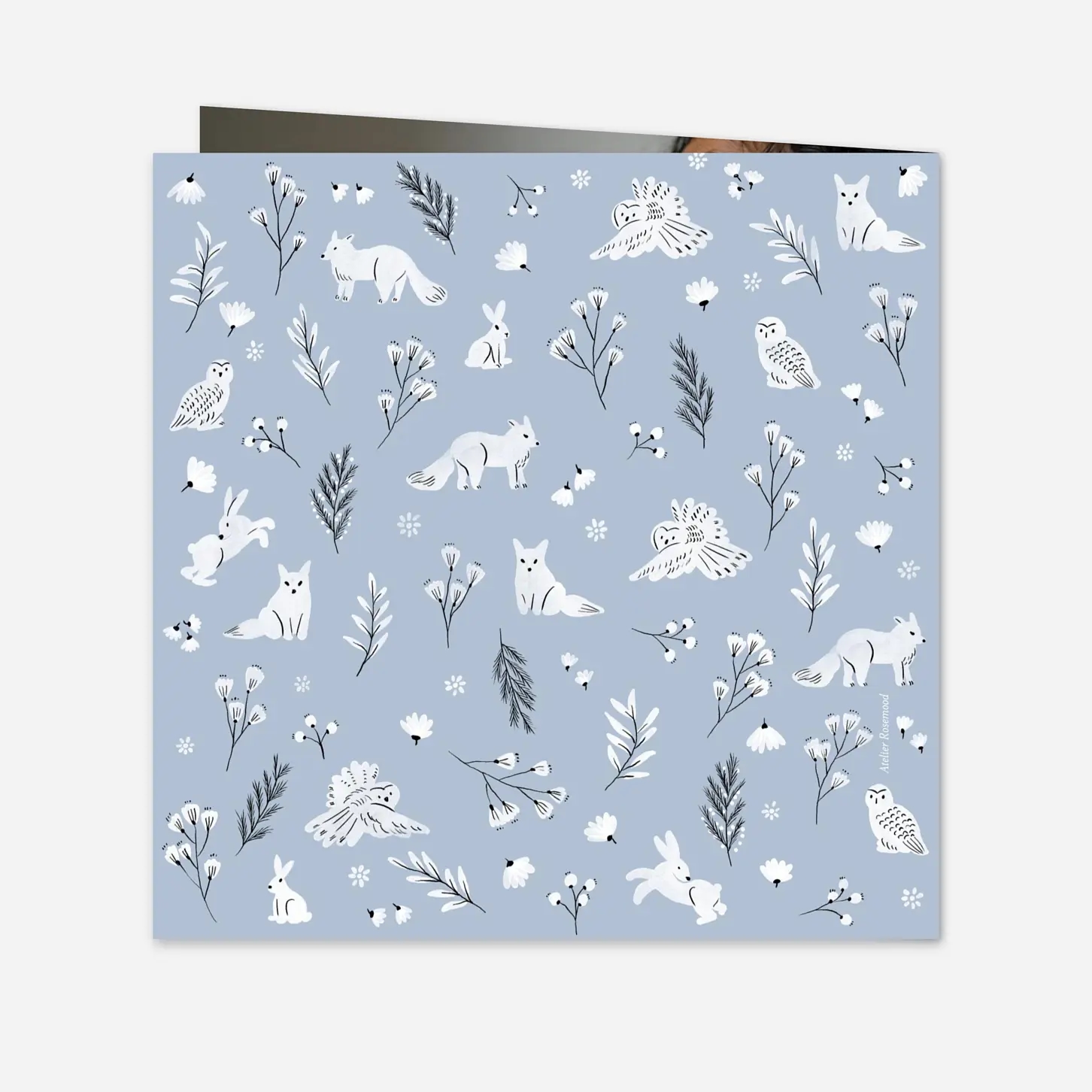 Faire-part naissance Clairiére