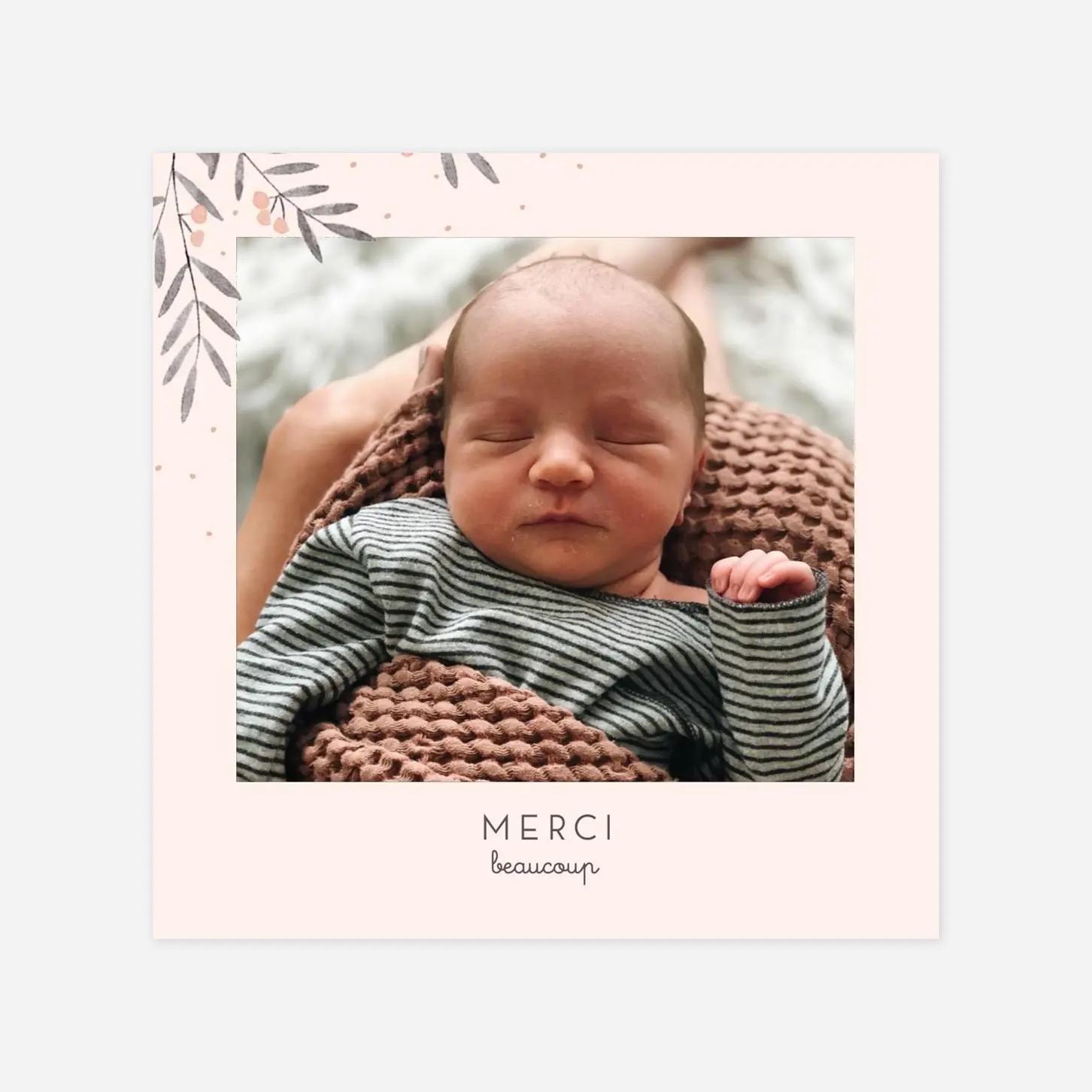 Carte remerciement naissance Jolies brindilles