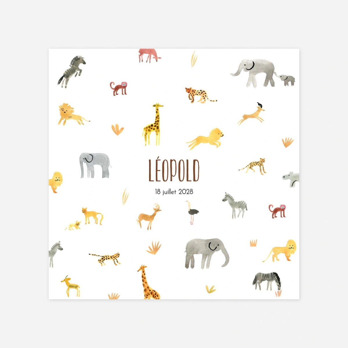 Faire-part naissance Savane