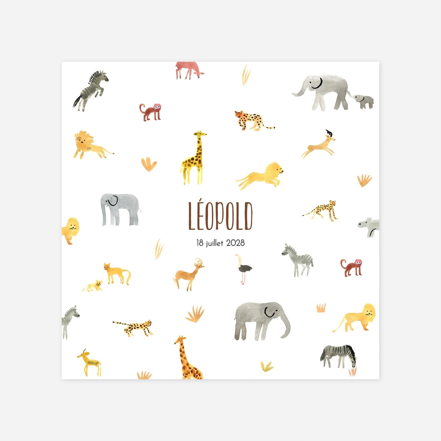 Faire-part naissance Savane